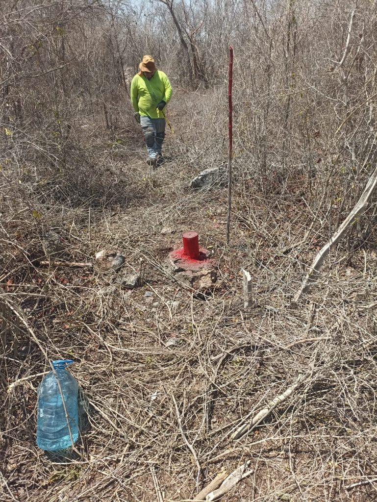 Personal calificado de Geoland realizando ubicación de terrenos y trazo en obra.